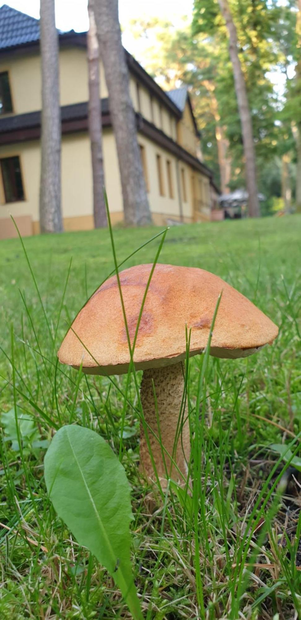 Villa Toskana Погожелица Экстерьер фото