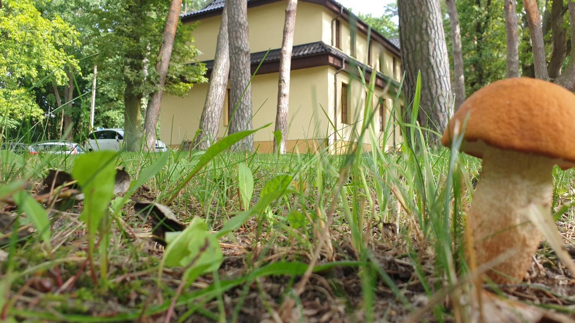 Villa Toskana Погожелица Экстерьер фото